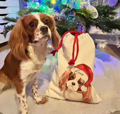 Personalised Dog Christmas Santa Sack
