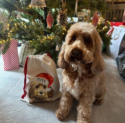 Personalised Dog Christmas Santa Sack