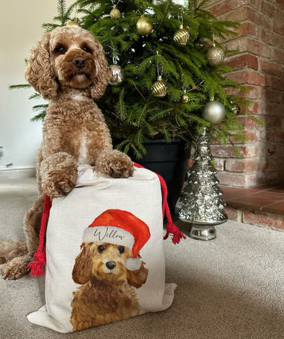 Personalised Dog Christmas Santa Sack